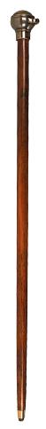 AM-WS006